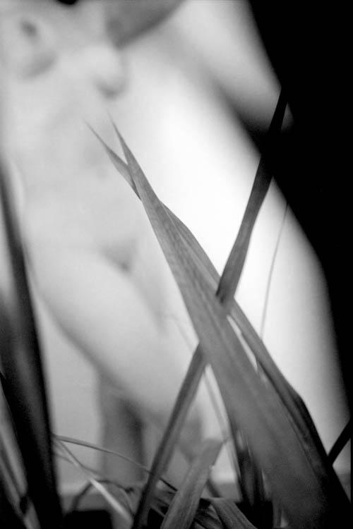   Bacco e Venere #9